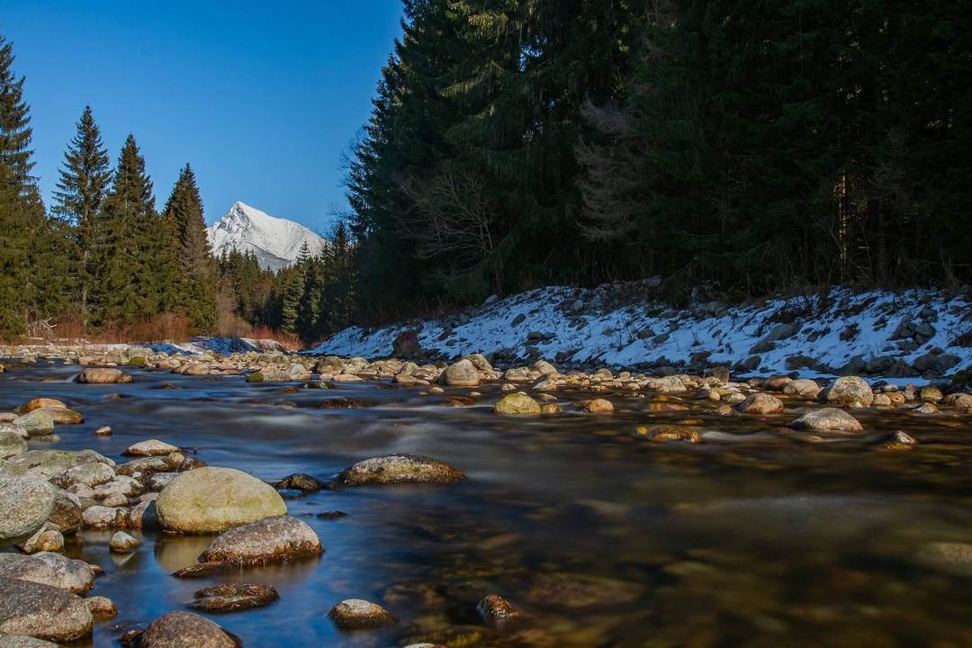 Tatranské lesy a rieka