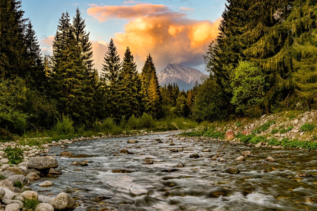 Apartmány Divoká Belá - Podbanské Tatry